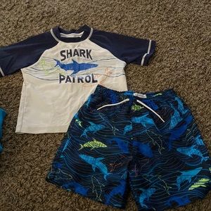 Flapdoodles shark rash guard and swim trunks